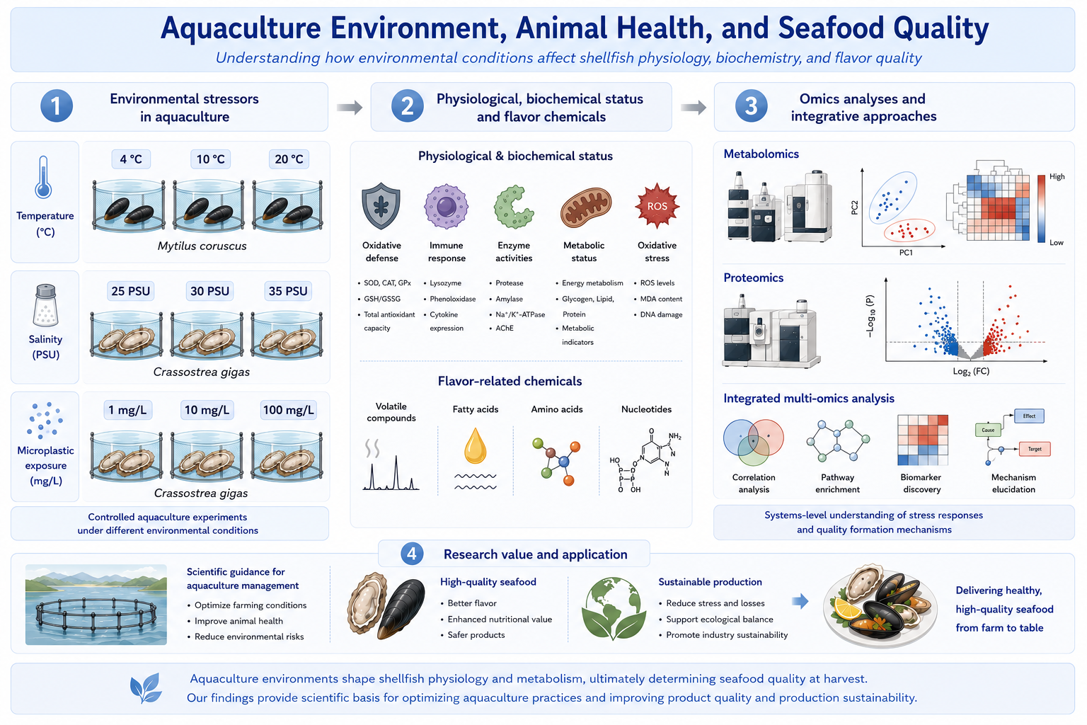 Aqua Environment