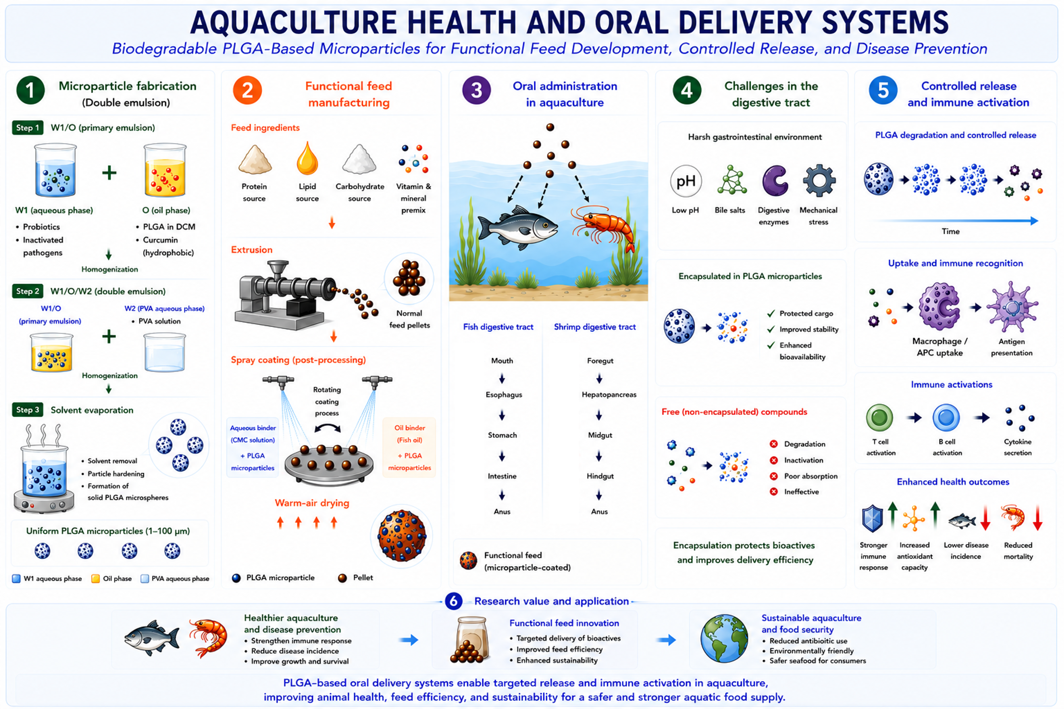 Aquaculture Oral Delivery System